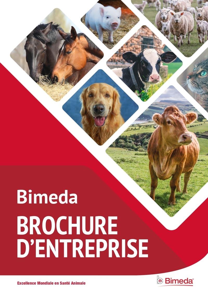Bimeda Corporate Brochure title