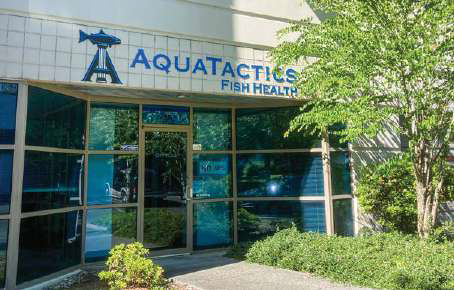 aquatactics