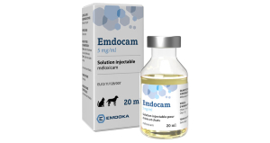 Emdocam