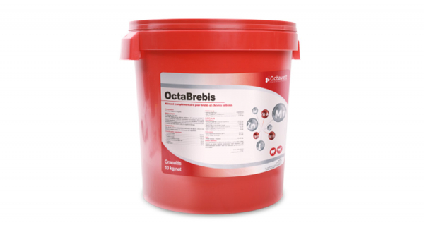 OctaBrebis