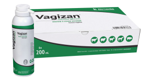 Vagizan