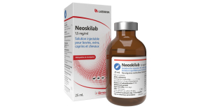 Neoskilab