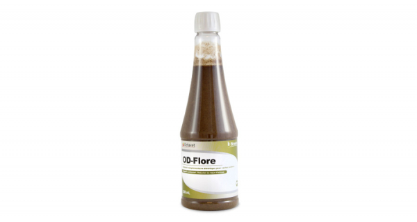 OD-Flore