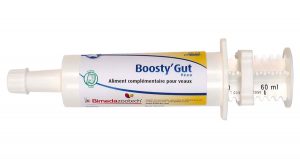 Boosty&#039;Gut