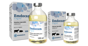 Emdocam