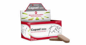 Capsel Bolus