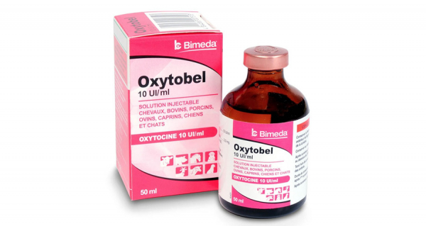 Oxytobel