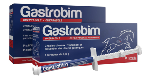 Gastrobim