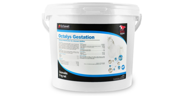 Octalys Gestation